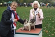 David Amess and Pugs of the Year