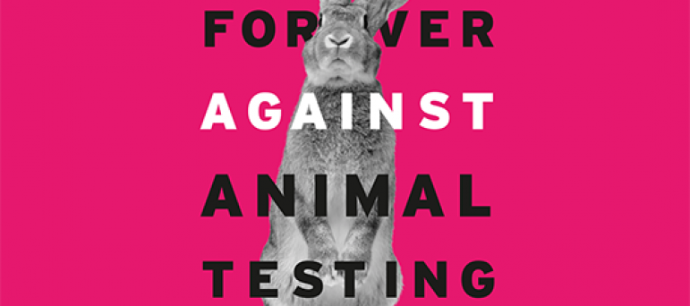 Sir David calls for a ban on animal testing