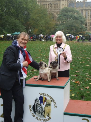 David Amess and Pugs of the Year